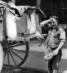Um homem do gelo com seu carrinho, Londres, 1926-1927