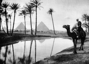Um oásis perto do Cairo, Egito, c1920s