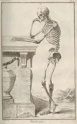 Anatomia. De Encyclopédie, de Denis Diderot e Jean Le Rond dAlembert, 1751-1765.