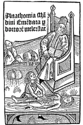 Demonstração de anatomia, 1493