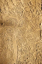 Angkor Wat, Detalhe esculpido em WallTree, Siem Reap, Camboja