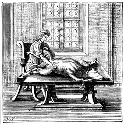 Transfusão de sangue de animal para humano, 1679