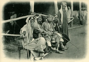 Negociantes de cavalos árabes.