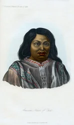 Araucano, Nativo do Chile, 1848