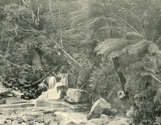 Em St. Crispins Well, 1901.