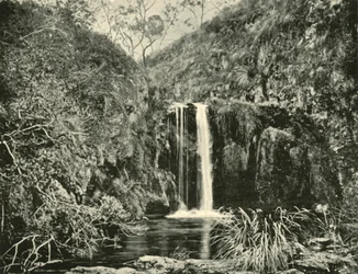 Quedas traseiras da angra, rio de Buchan, Victoria, 1901.