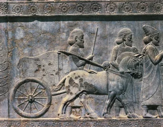 Baixo-relevo, arte persa, século VI