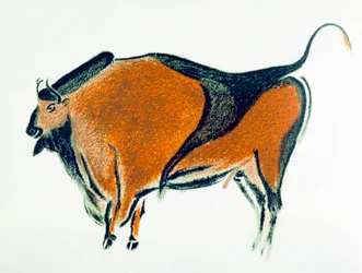 Bisonte, cópia de uma pintura em caverna paleolítica em Altamira, norte da Espanha, 1913