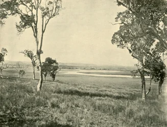 Lagoa do Cisne Negro, perto de Warwick, Queensland, 1901