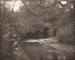 Ribeiro e ponte na floresta nova, Hampshire, 1894.