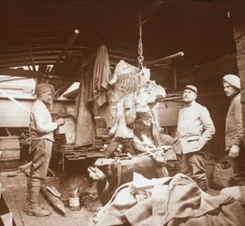 Açougues em uma barcaça, Somme, norte da França, c1914-c1918