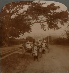 Táxis desenhados por nativos em uma estrada residencial, Durban, S. África, c1900