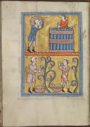 Calendário, setembro, homens colhendo e pisando uvas - Saltério de Eleanor de Aquitânia (ca. 1185) - KB 76 F 13, fólio 009v