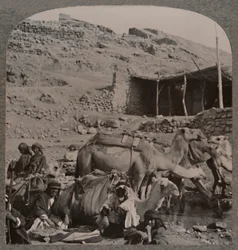 Trem de camelo de Jerash, molhando na Fonte de Eliseu, c1900