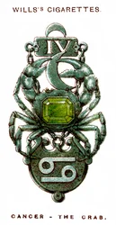 Câncer, O Caranguejo, 1923
