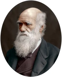 Charles Darwin, naturalista britânico, 1878