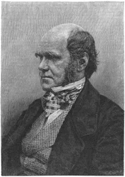Charles Darwin, naturalista inglês, 1884