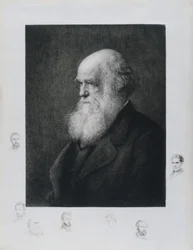 Charles Darwin, naturalista inglês, c 1860s