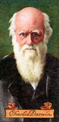 Charles Darwin, tirado de uma série de cartões de cigarro, 1935