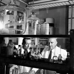 Charles Herbert Best, fisiologista canadense, 1960