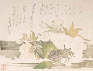 Flores de cerejeira e um caracol, 1816.