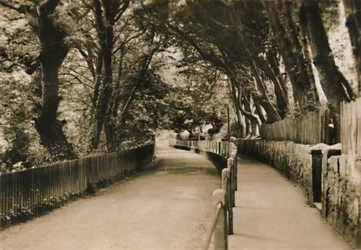 China Avenue, Shanklin, IW, c1920.