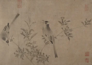 Bulbuls chineses na flor de cerejeira.