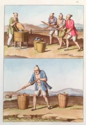 Agricultura chinesa, 1825-1835