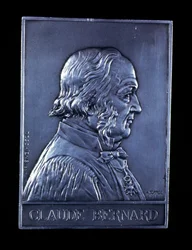 Claude Bernard, fisiologista francês do século XIX, 1913