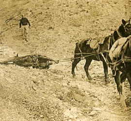 Limpando o campo de batalha, c1914-c1918