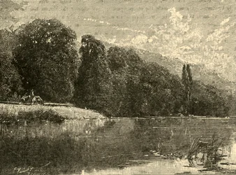 Madeiras de Cliefden, 1898.