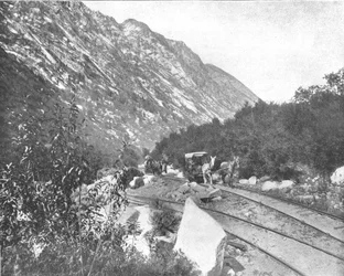 Cottonwood Canyon, Utah, EUA, c1900.