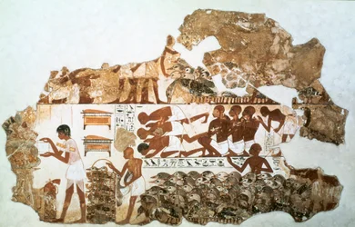 Contando os gansos: fragmento de pintura de parede do túmulo de Nebamun, Tebas, Egito, c1350 aC