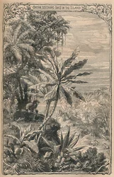 Crusoé descobre cabras na ilha, c1870