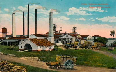 Cuba: Ingenio Moliendo. Usina de açúcar no trabalho, c1900