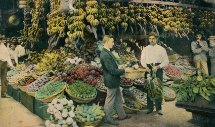 Loja de frutas cubana, c1910