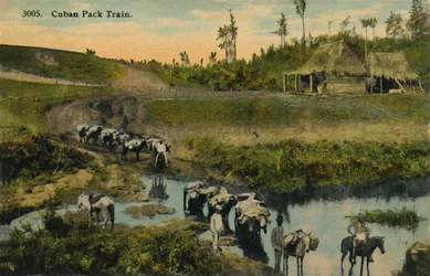 Trem da Manada Cubana, c1910