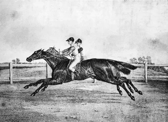 Calor morto entre Lanercost e Beeswing, 1835-1850, 1911