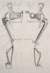Diagrama para bit de cavalos, década de 1700.