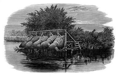 Baleias de enguia no Tamisa, século XIX