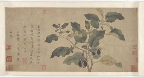 Berinjela, dinastia Yuan ou Ming, século XIV.