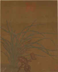 Oito desenhos de flores, possivelmente dinastia Ming, 1368-1644.