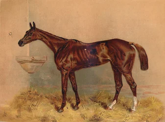 Emblema, égua com obstáculos, c1879.