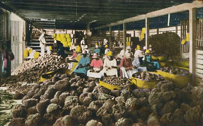 Esfakis - casa de embalagem da esponja - Nassau, Bahamas, c1930s.