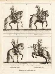 Exercício do cavalo