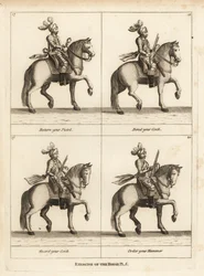 Exercício do cavalo