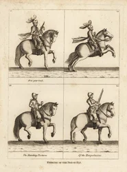 Exercício do cavalo