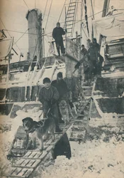 Exercitando os cães, 1936