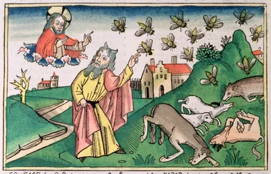 Êxodo 8:20-32: Moisés e o enxame de moscas, uma das sete pragas do Egito