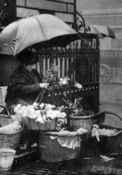 Vendedor de flores, Piccadilly Circus, Londres, 1926-1927